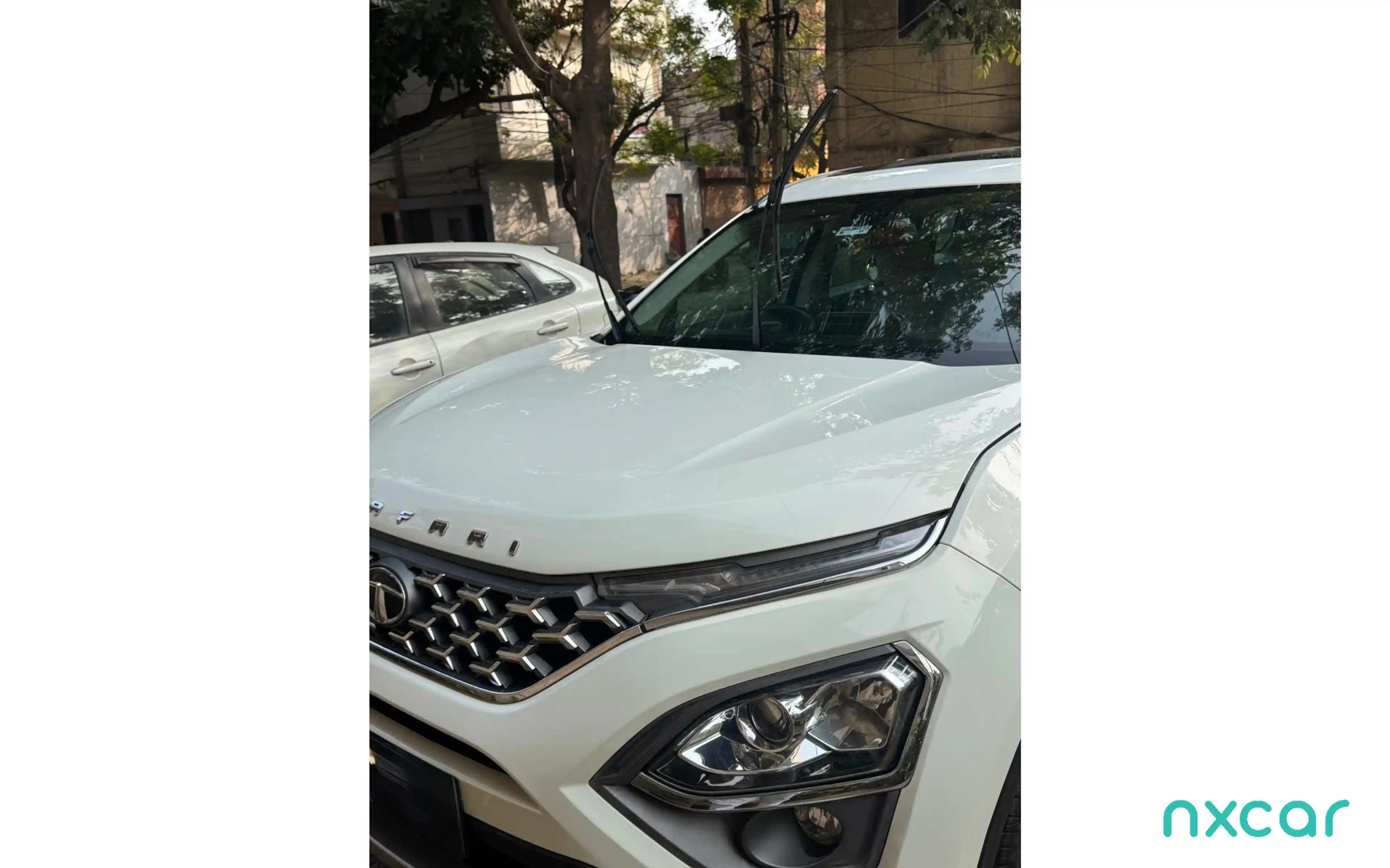 Used Tata safari xza-plus-6s-new2021-2023 for sale on Nxcar