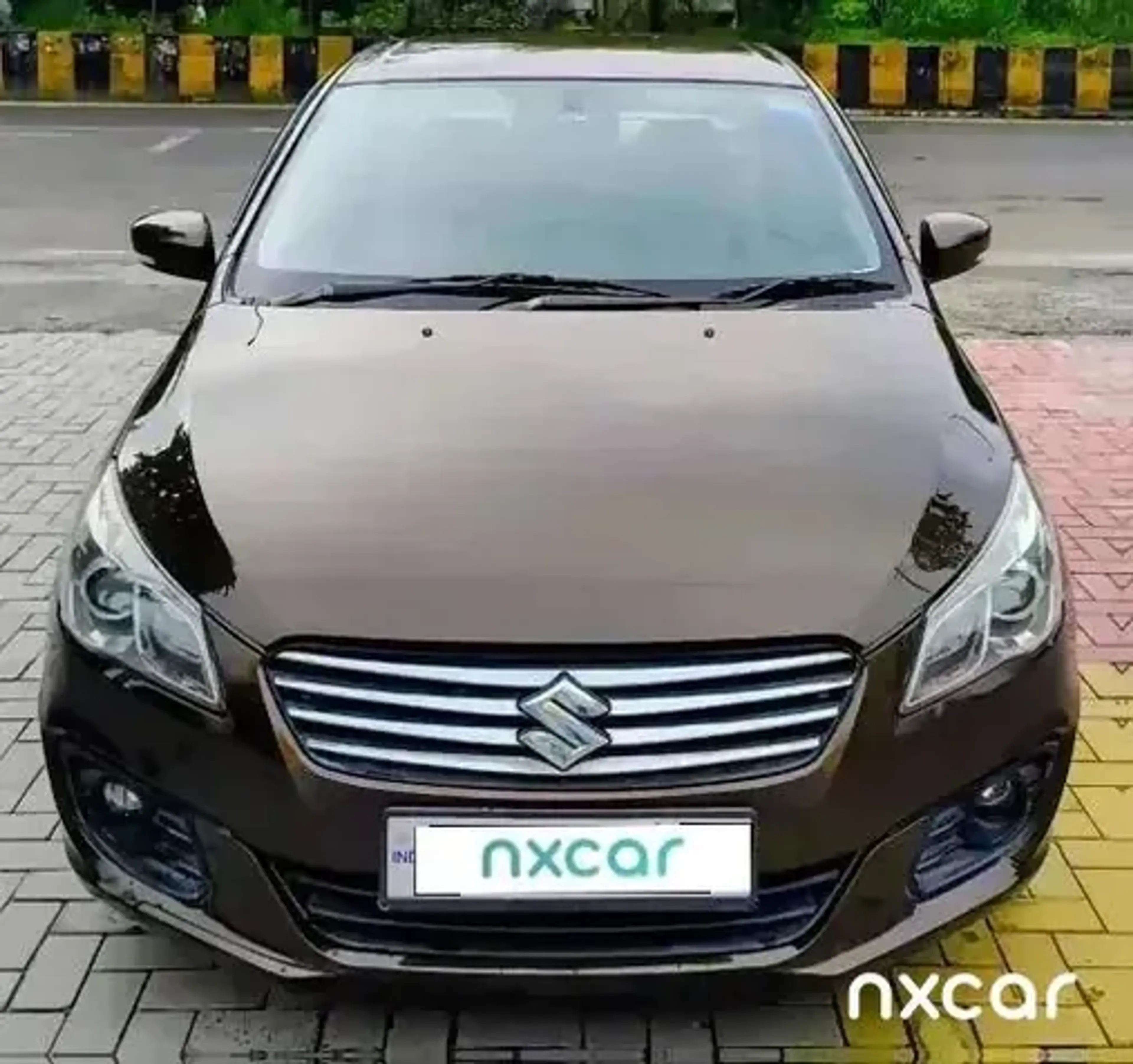 Used Maruti Suzuki ciaz alpha-15 for sale on Nxcar