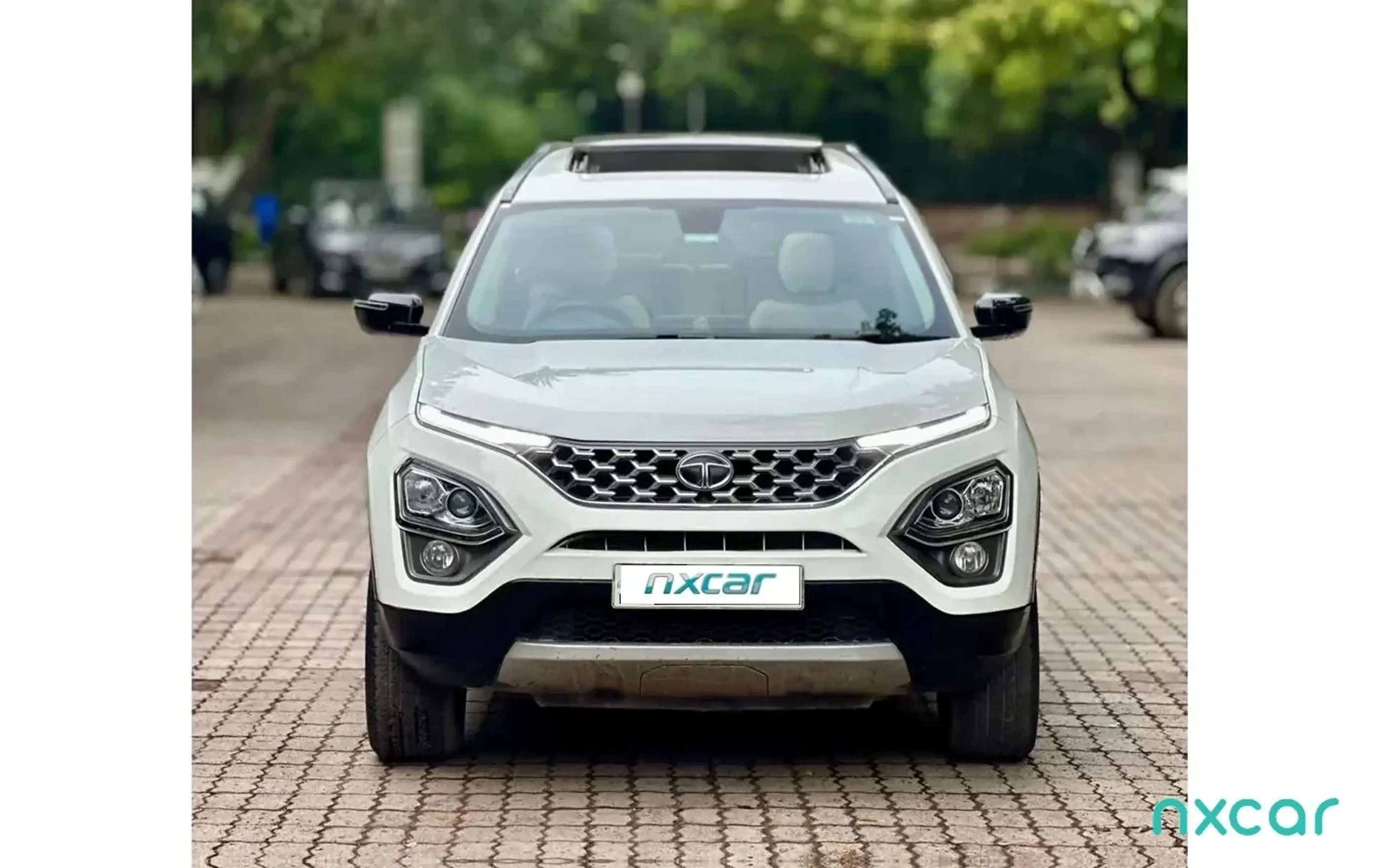Used Tata safari xt-plus2021-2023 for sale on Nxcar