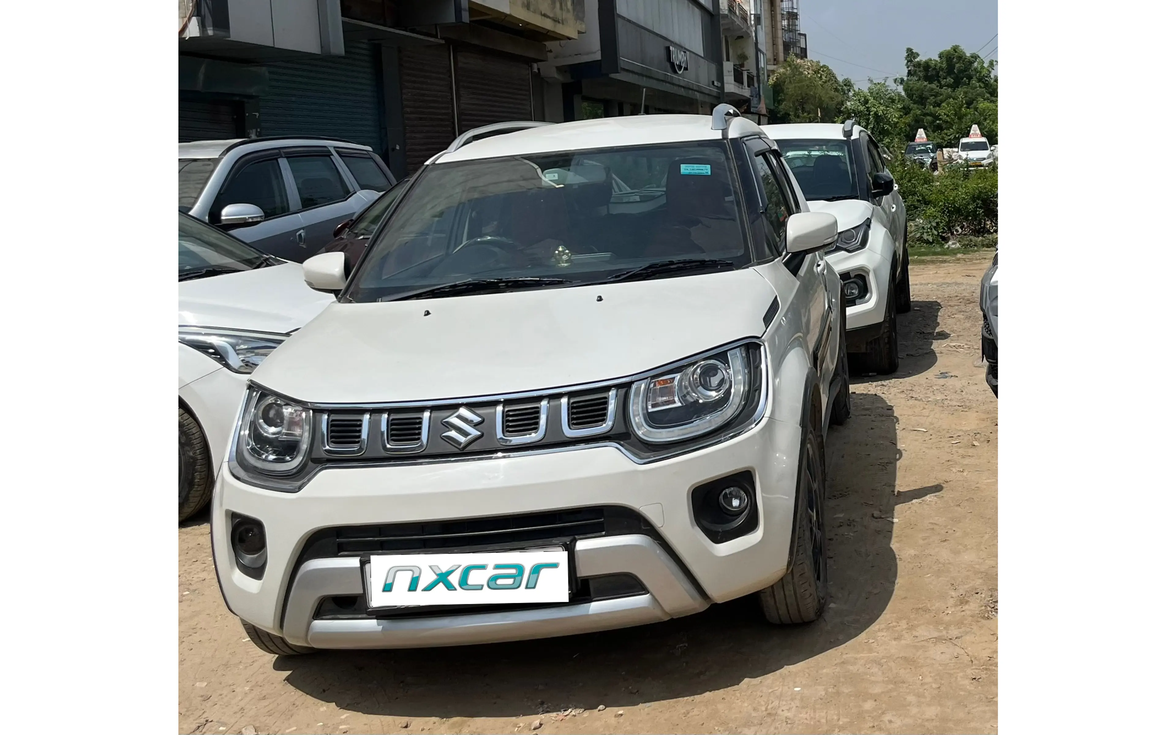 Used Maruti Suzuki ignis alpha-12-mt for sale on Nxcar