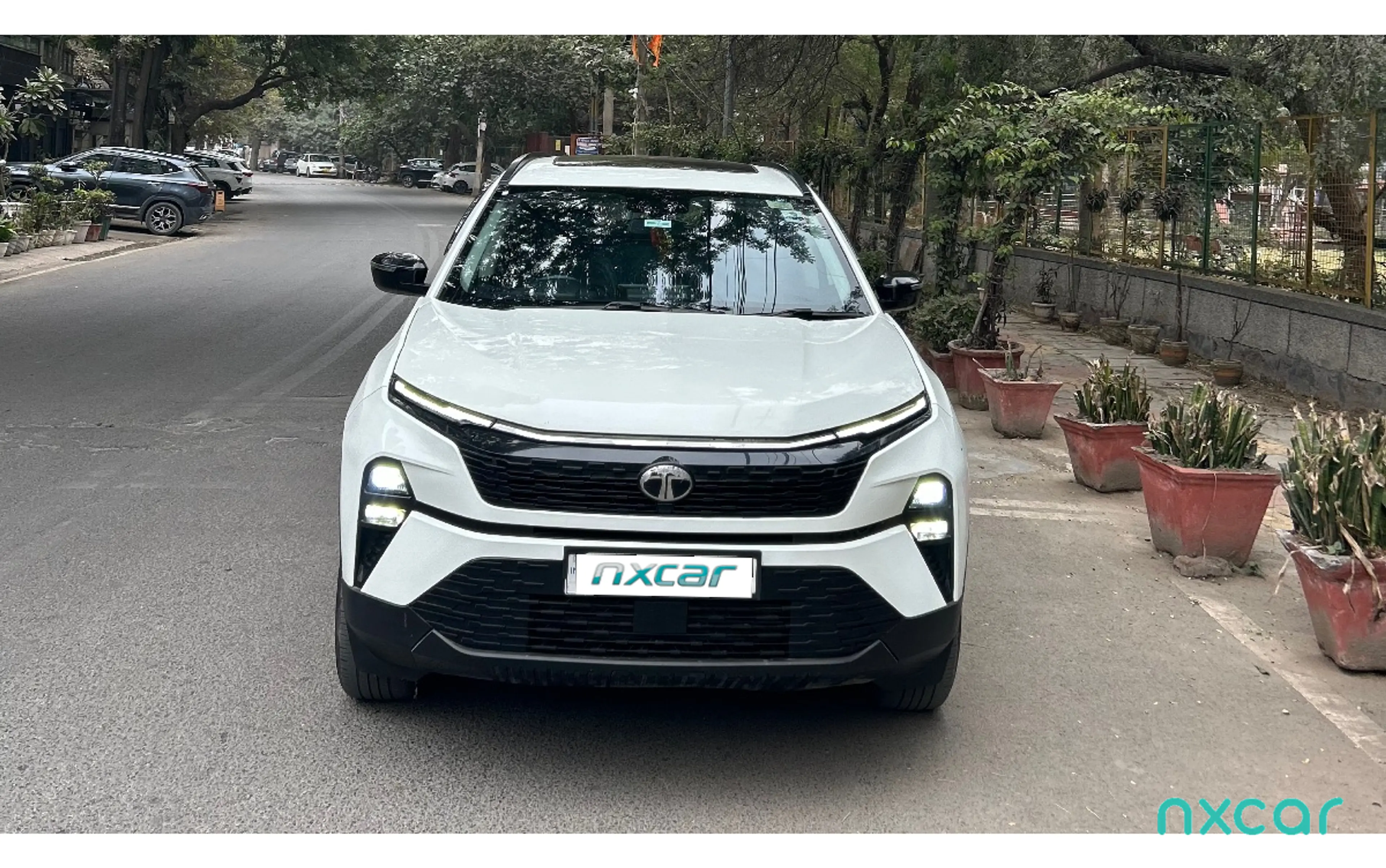 Used Tata harrier pure-plus-s for sale on Nxcar