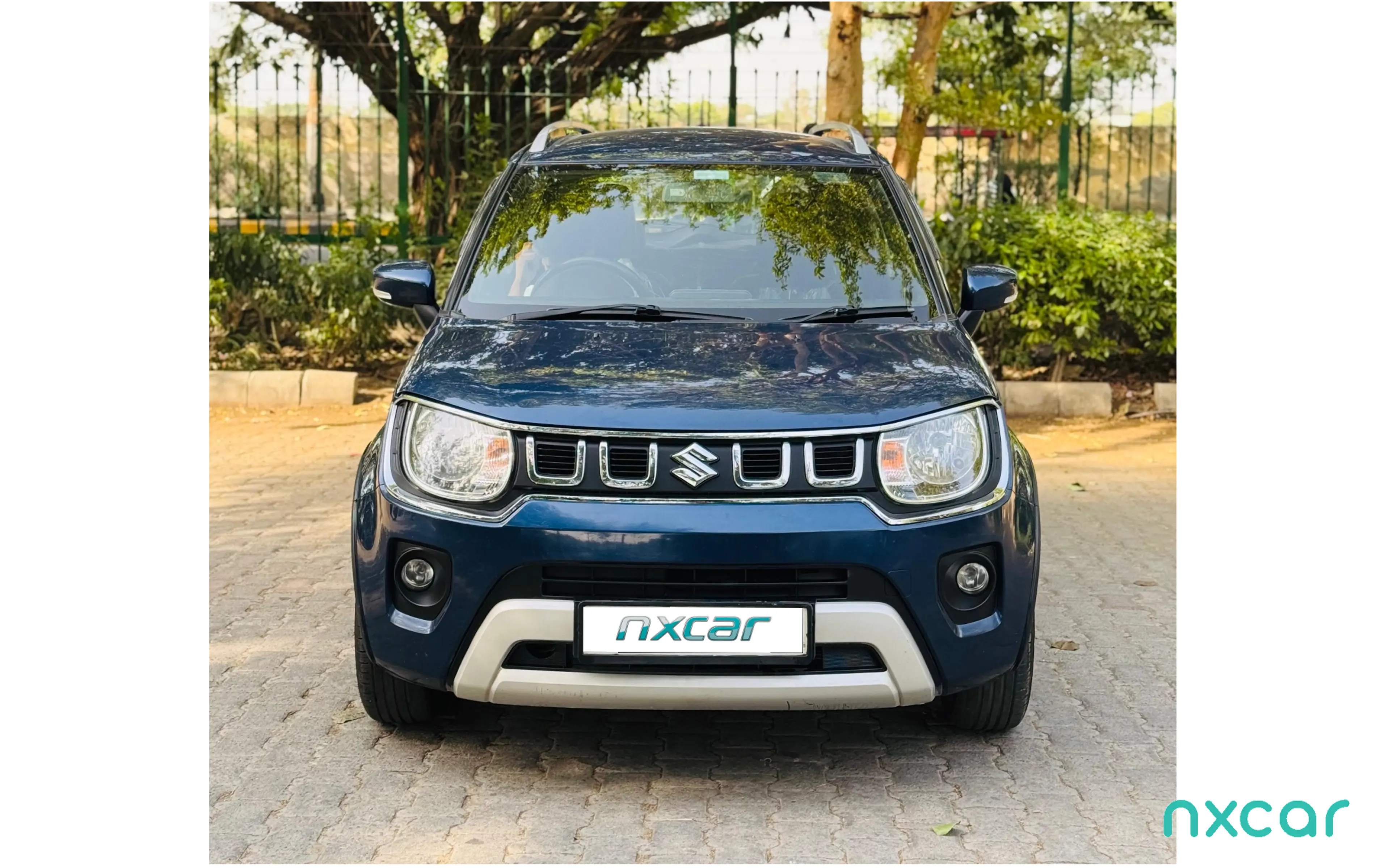 Used Maruti Suzuki ignis zeta-12-mt for sale on Nxcar