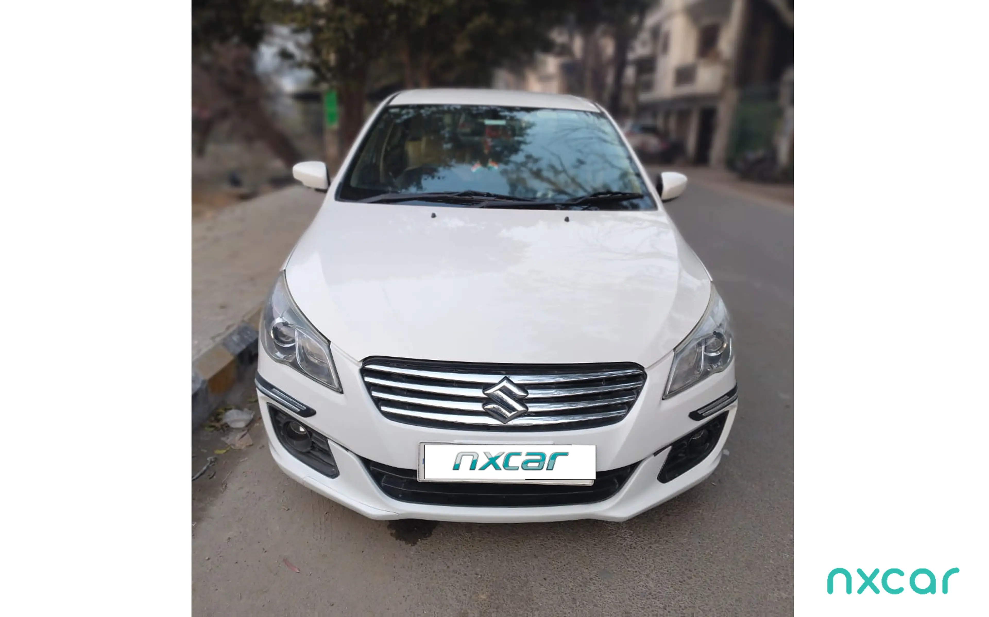Used Maruti Suzuki ciaz vdi--2014-20152014-2017 for sale on Nxcar