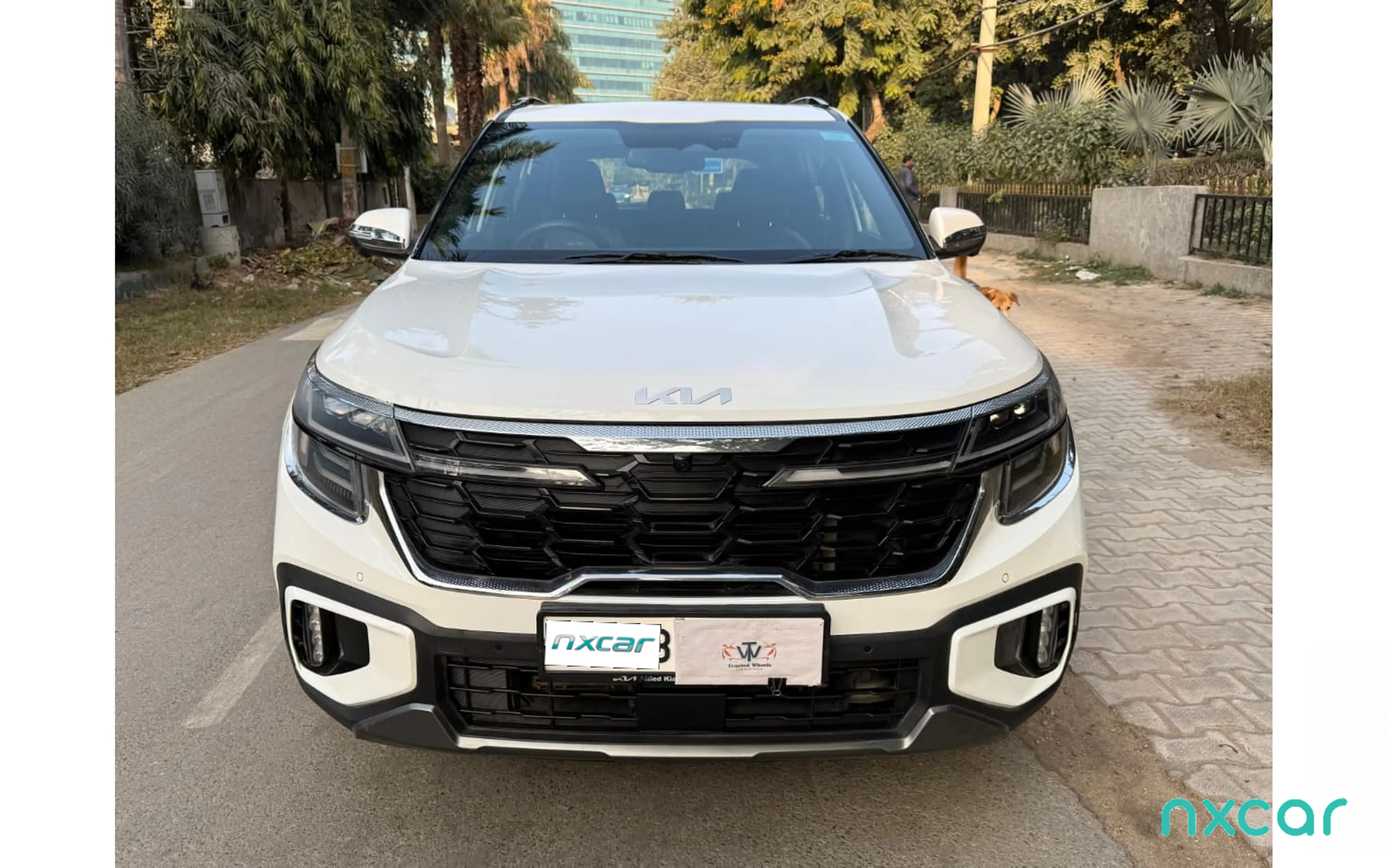 Used Kia seltos gtx-plus-15-turbo-petrol-dct for sale on Nxcar