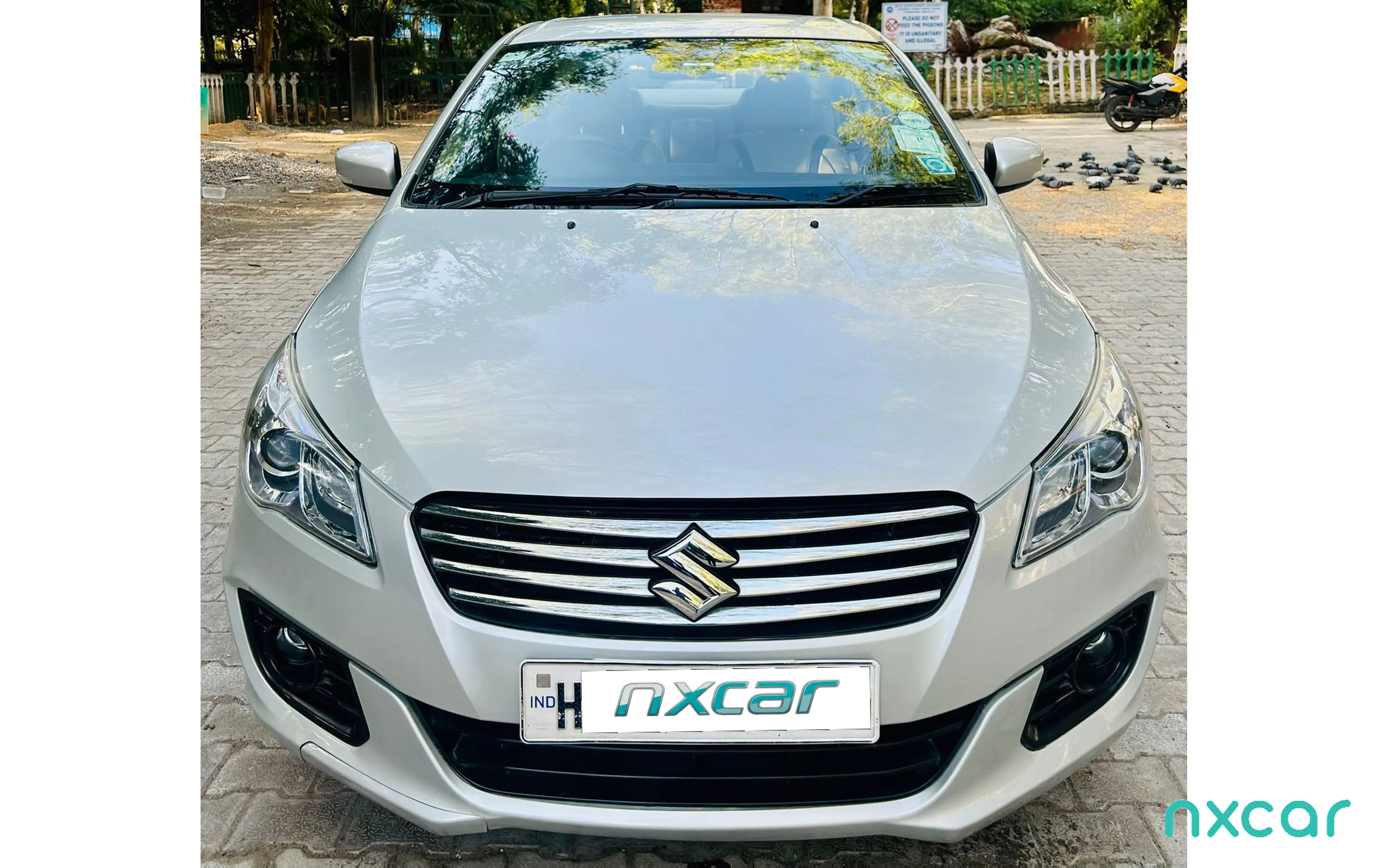 Used Maruti Suzuki ciaz vxi2014-2017 for sale on Nxcar