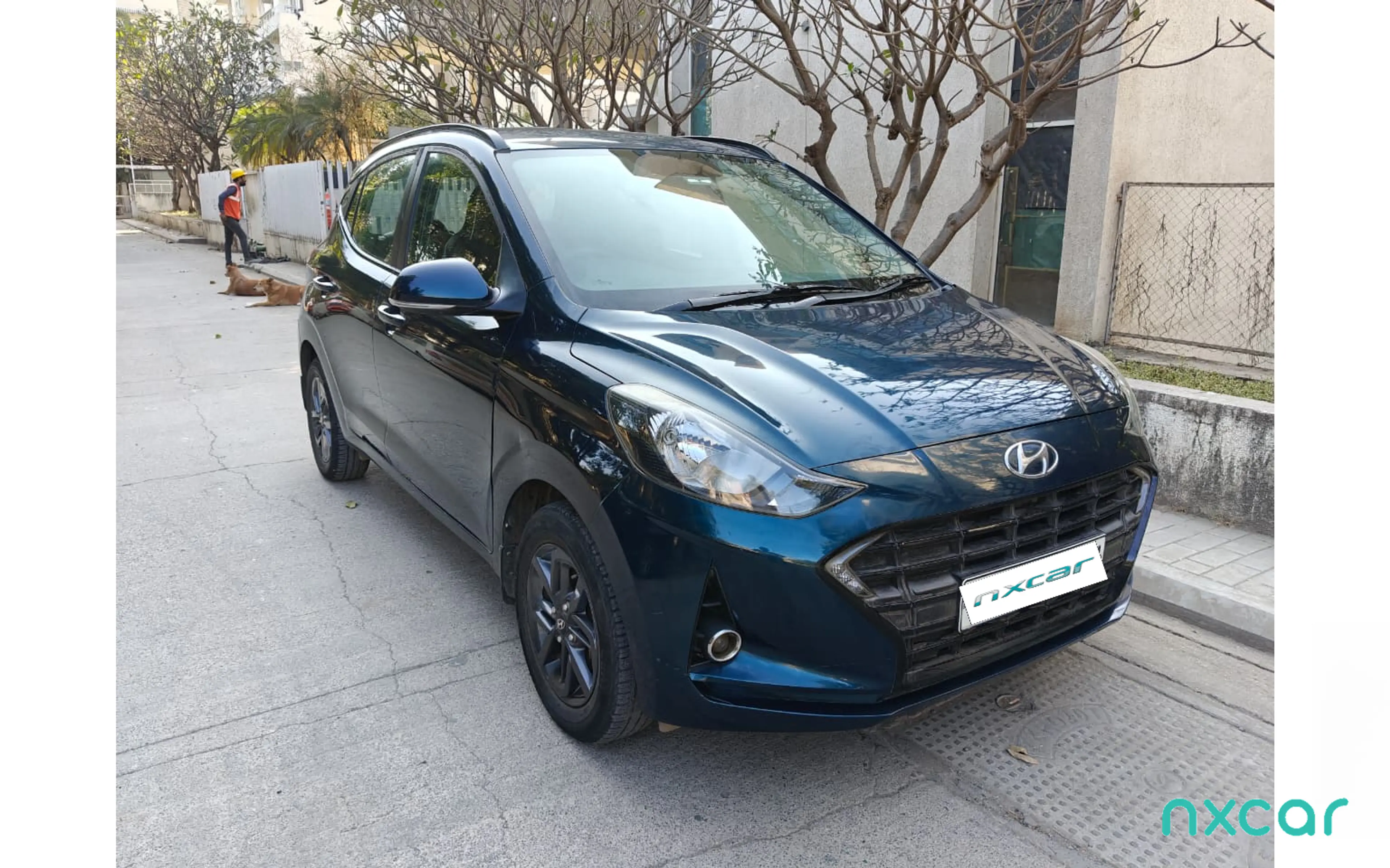 Used Hyundai grand-i10-nios sportz-12-mt-cng for sale on Nxcar
