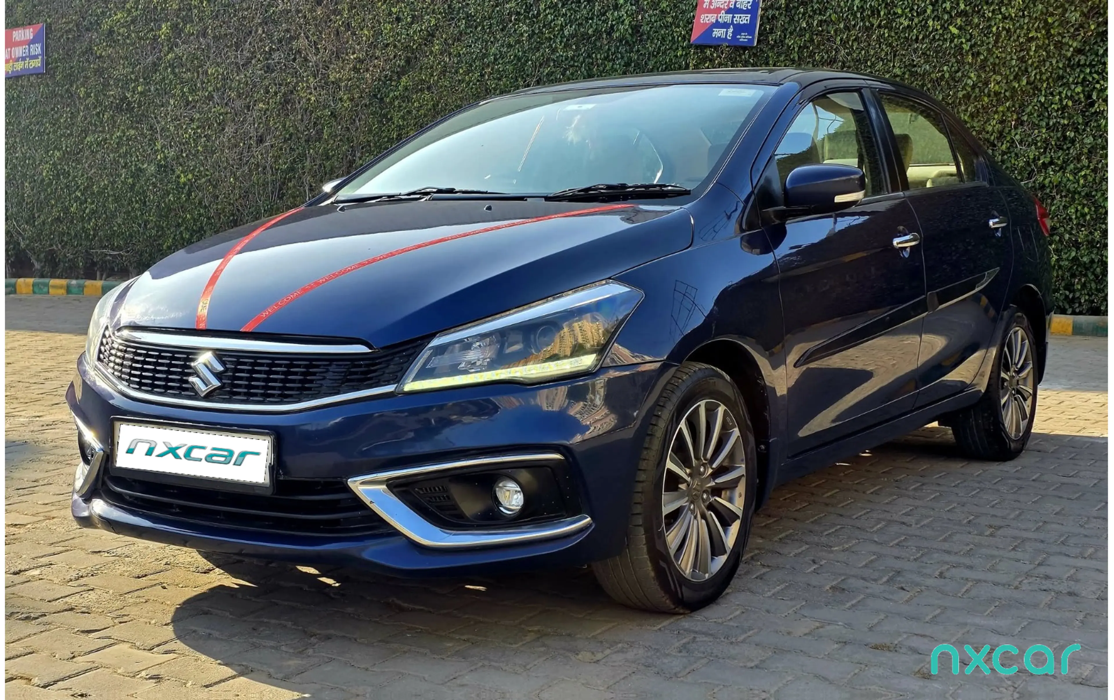 Used Maruti Suzuki ciaz alpha-15-at for sale on Nxcar