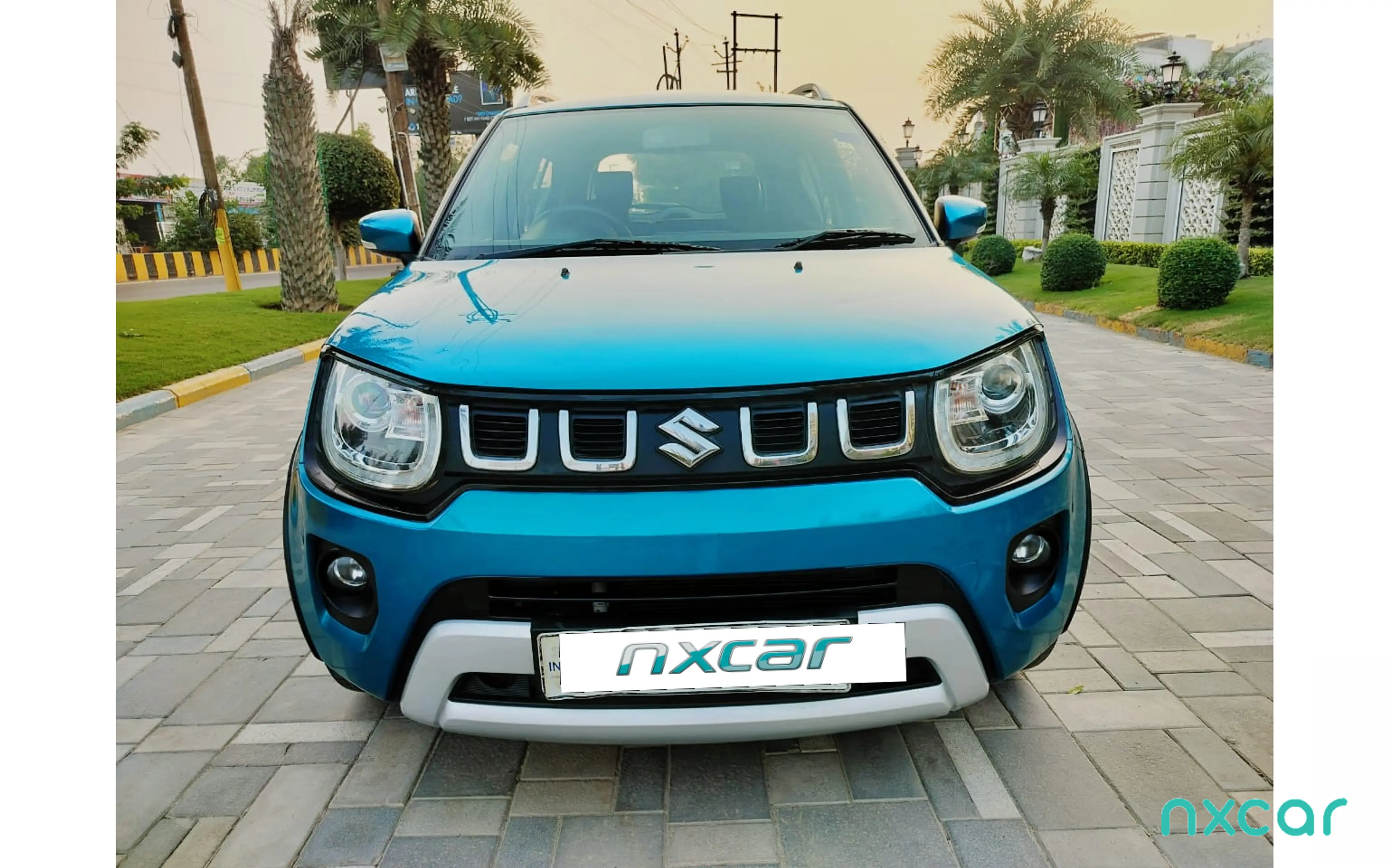 Used Maruti Suzuki ignis alpha-12-amt2019-2020 for sale on Nxcar