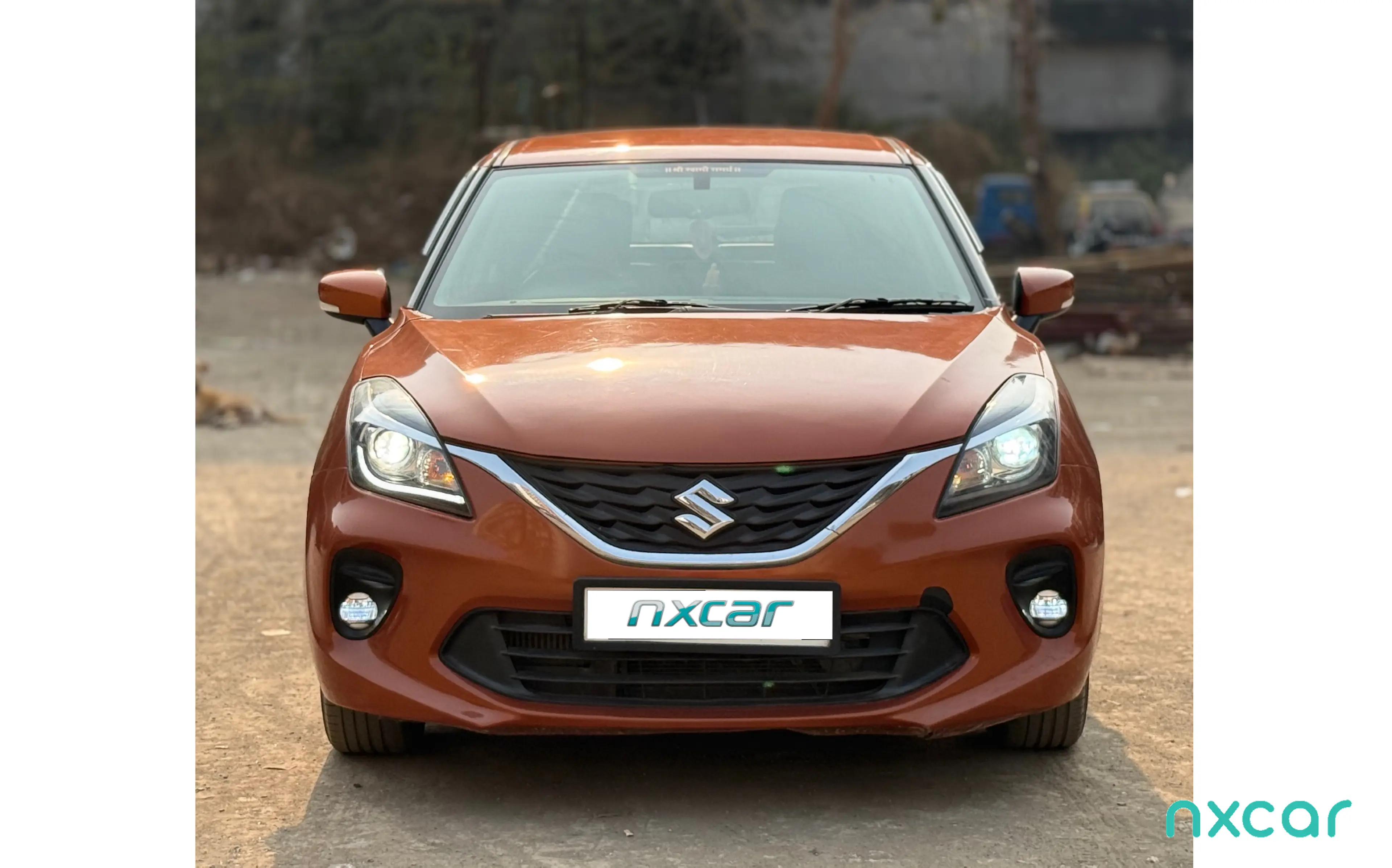 Used Maruti Suzuki baleno alpha-mt for sale on Nxcar