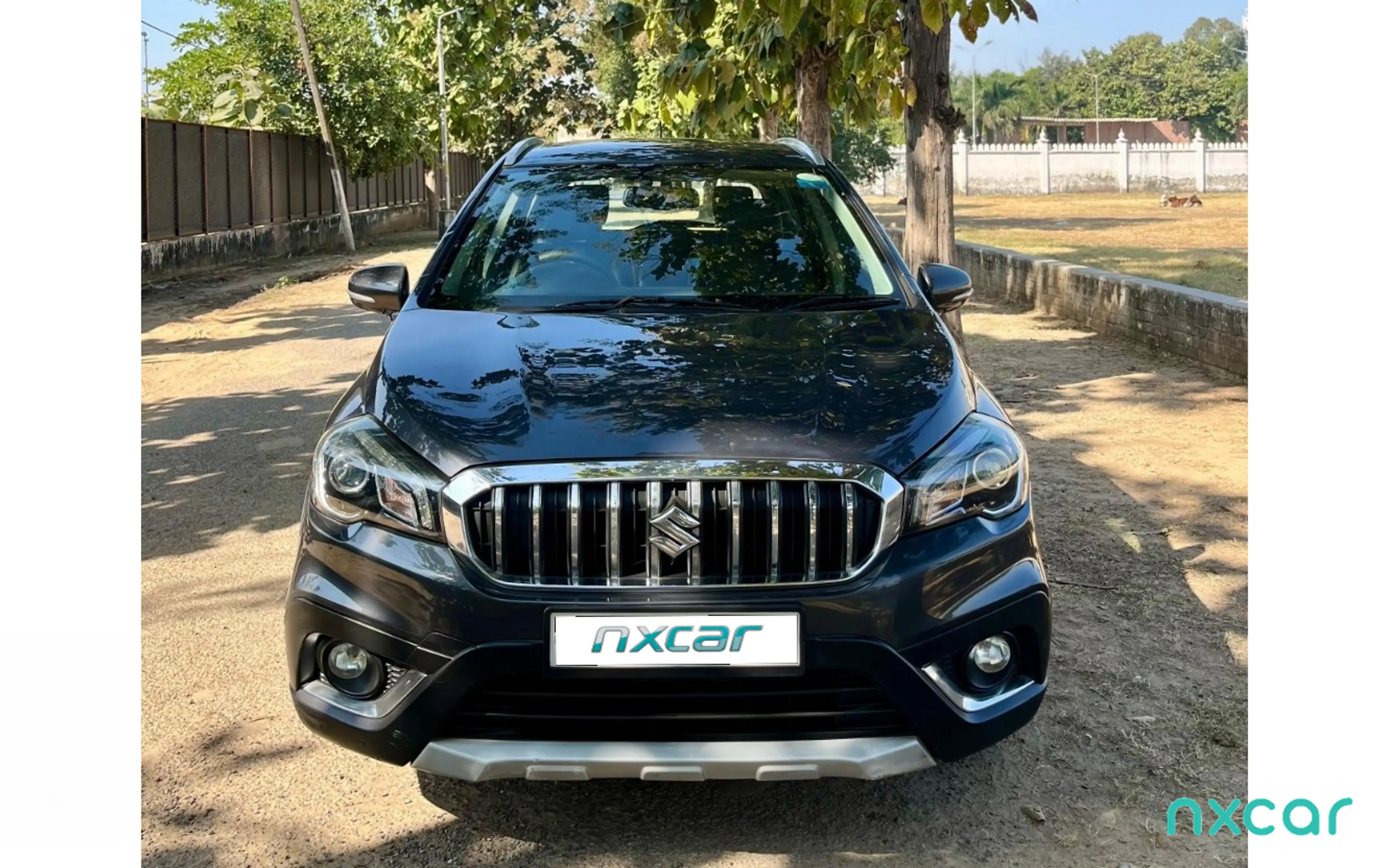 Used Maruti Suzuki s-cross alpha-132017-2020 for sale on Nxcar