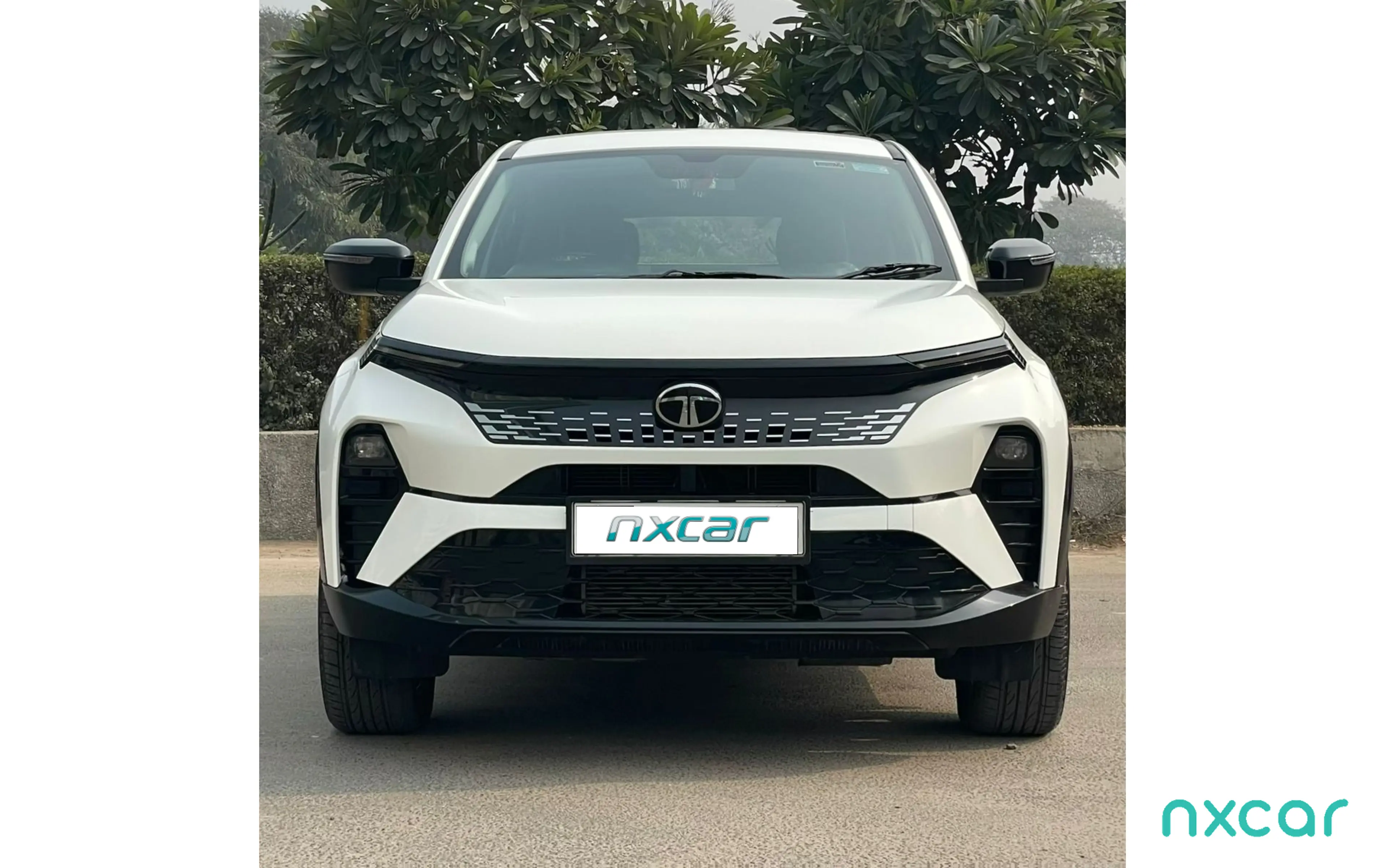 Used Tata curvv pure--s-tc-dca for sale on Nxcar