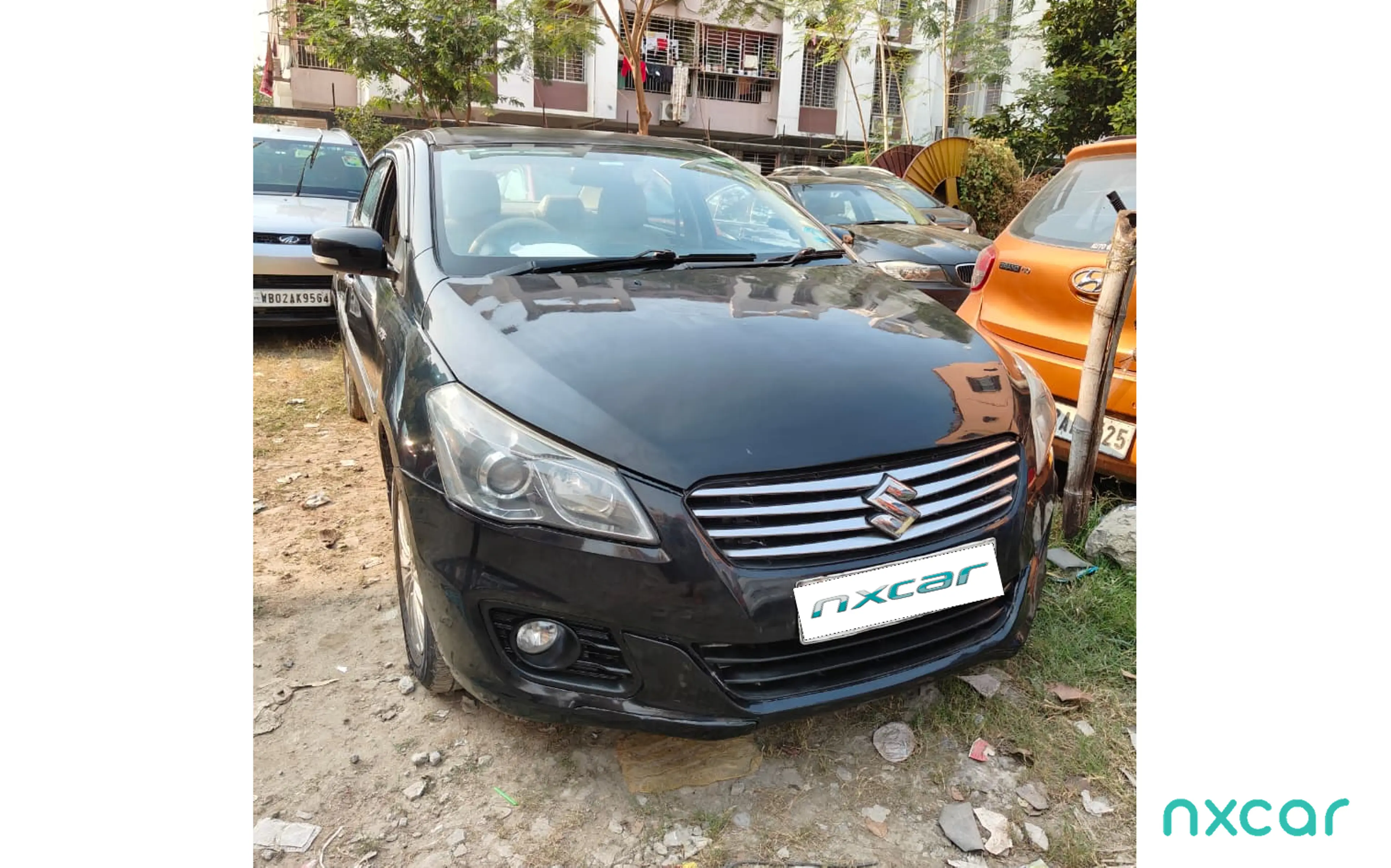 Used Maruti Suzuki ciaz zdi-2014-20152014-2017 for sale on Nxcar