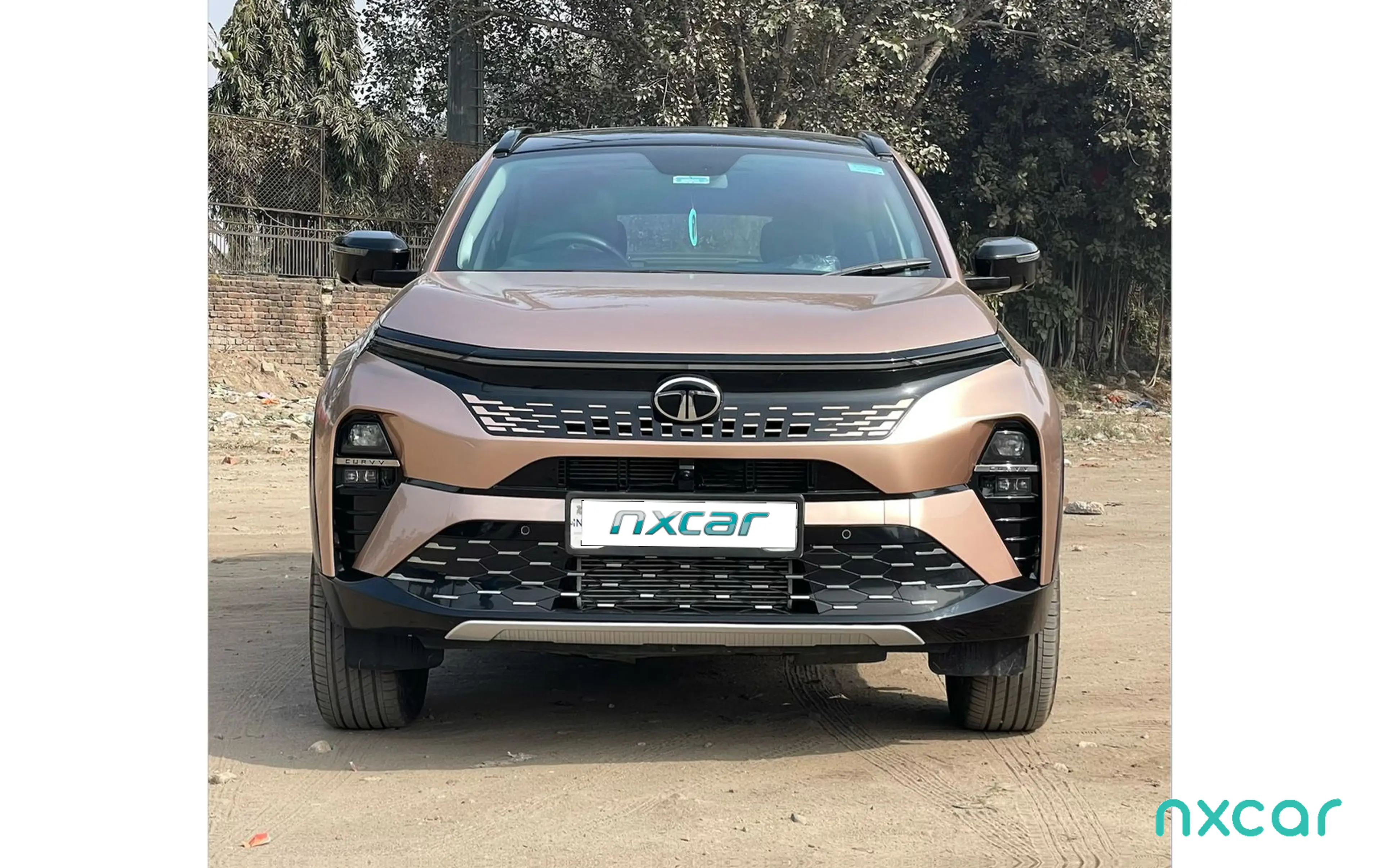 Used Tata curvv accomplished-s for sale on Nxcar