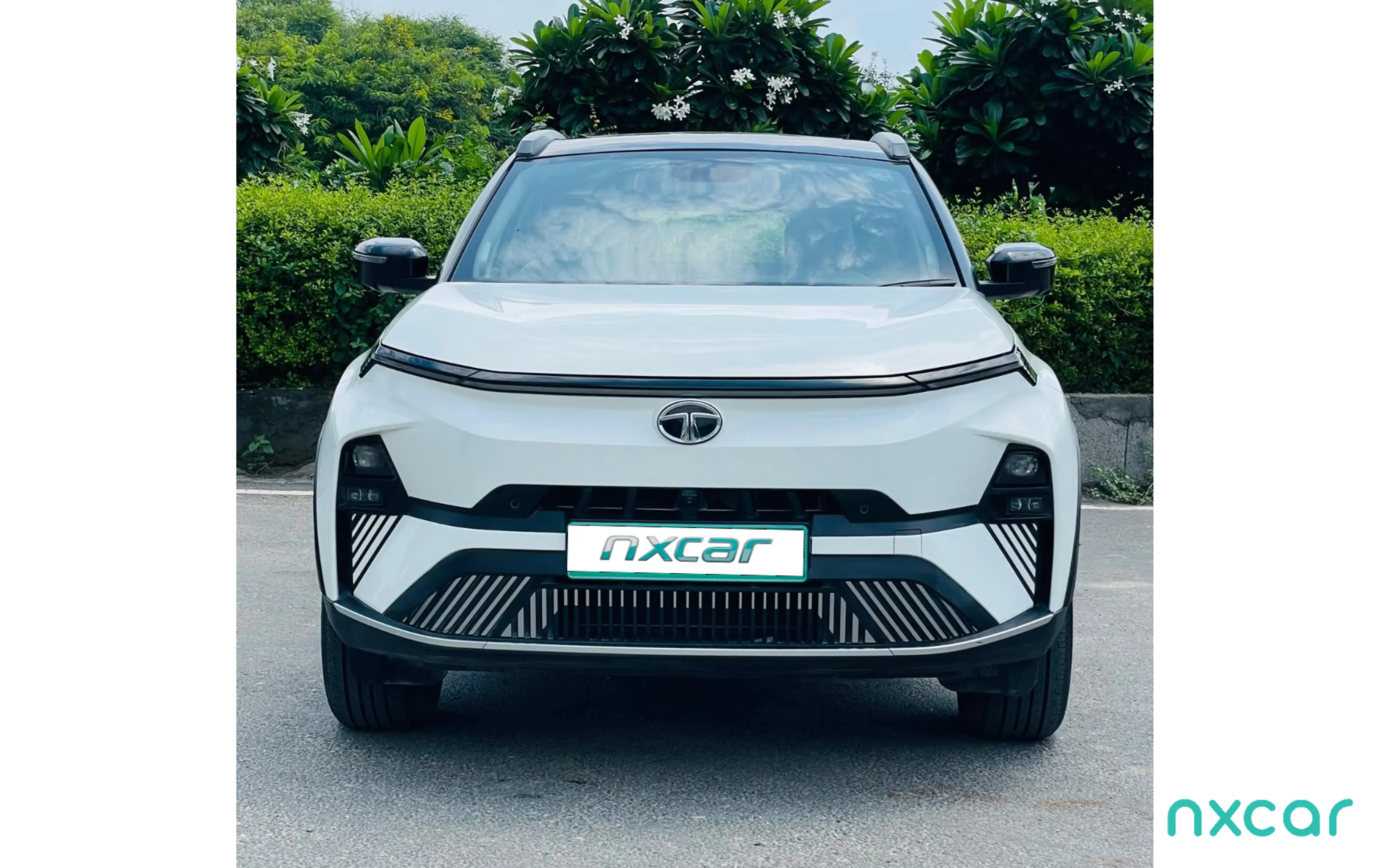 Used Tata nexon-ev empowered-medium-range for sale on Nxcar