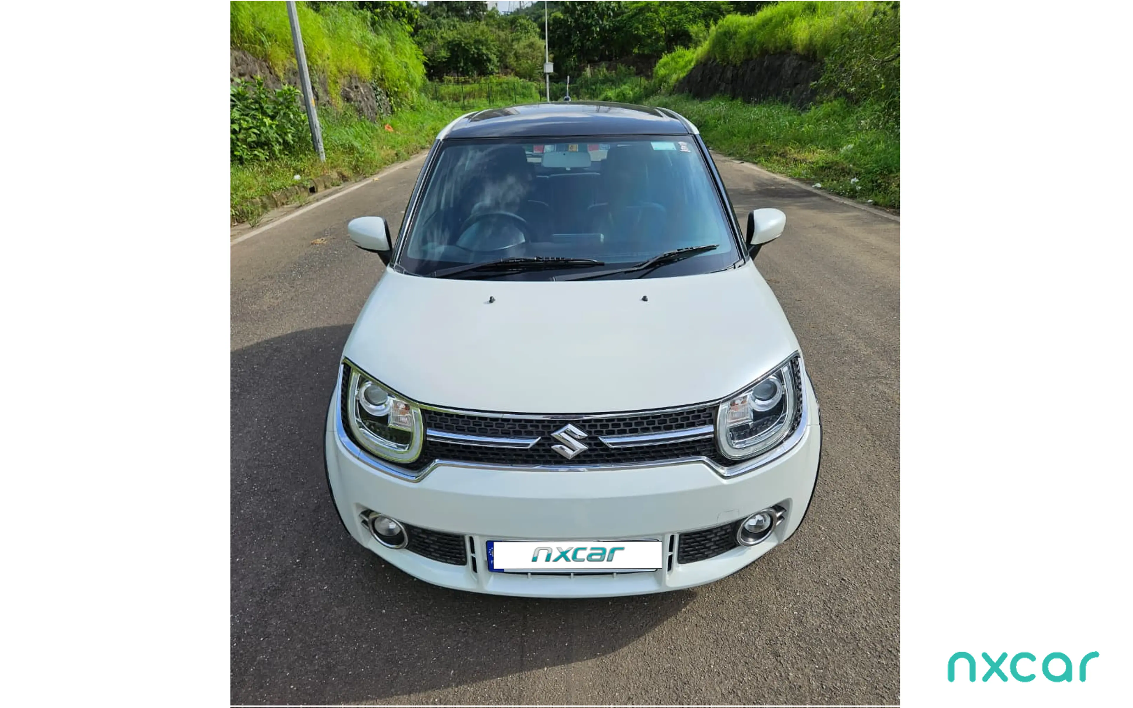 Used Maruti Suzuki ignis alpha-12-mt2017-2019 for sale on Nxcar
