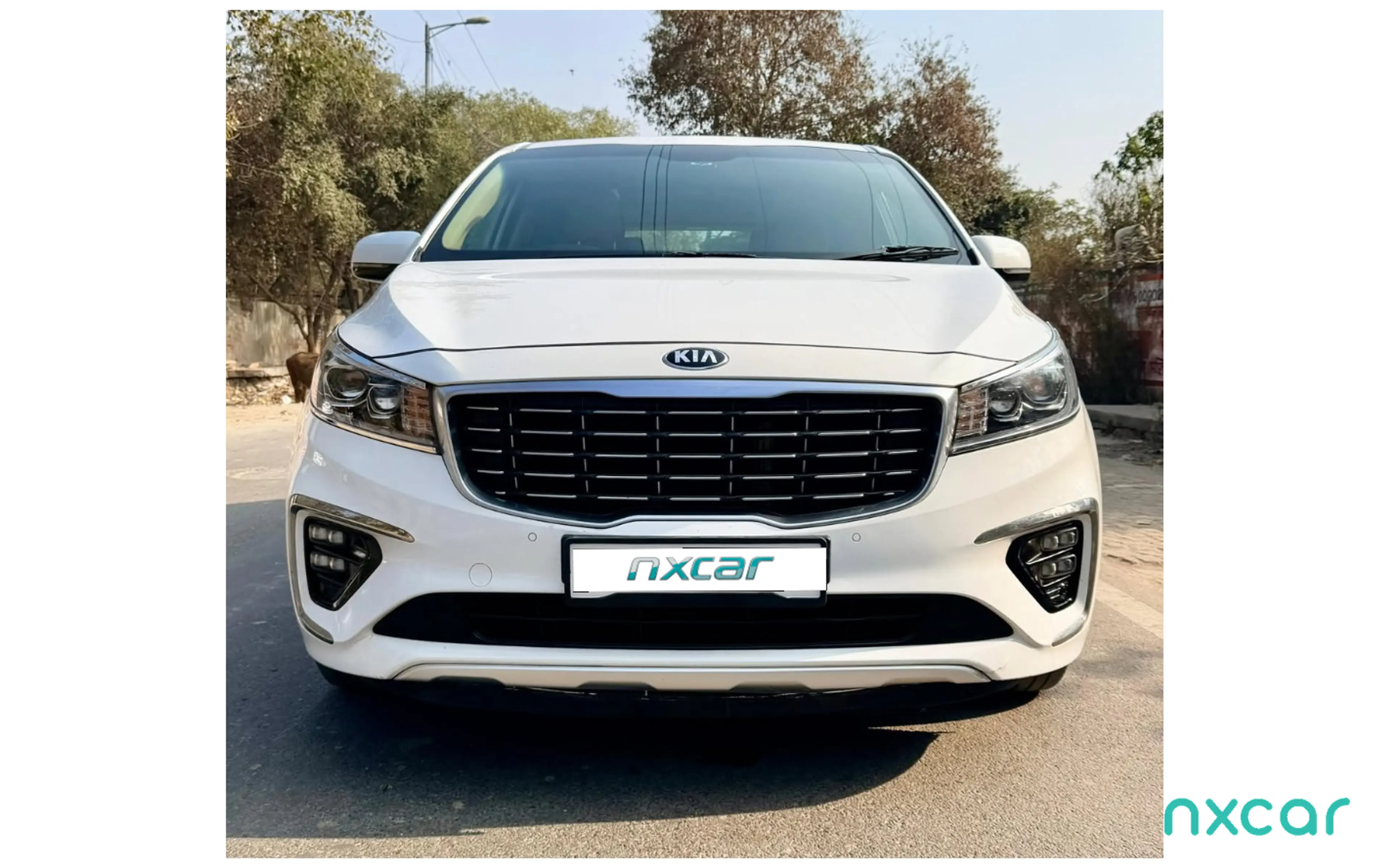 Used Kia carnival limousine-7-str2020-2023 for sale on Nxcar