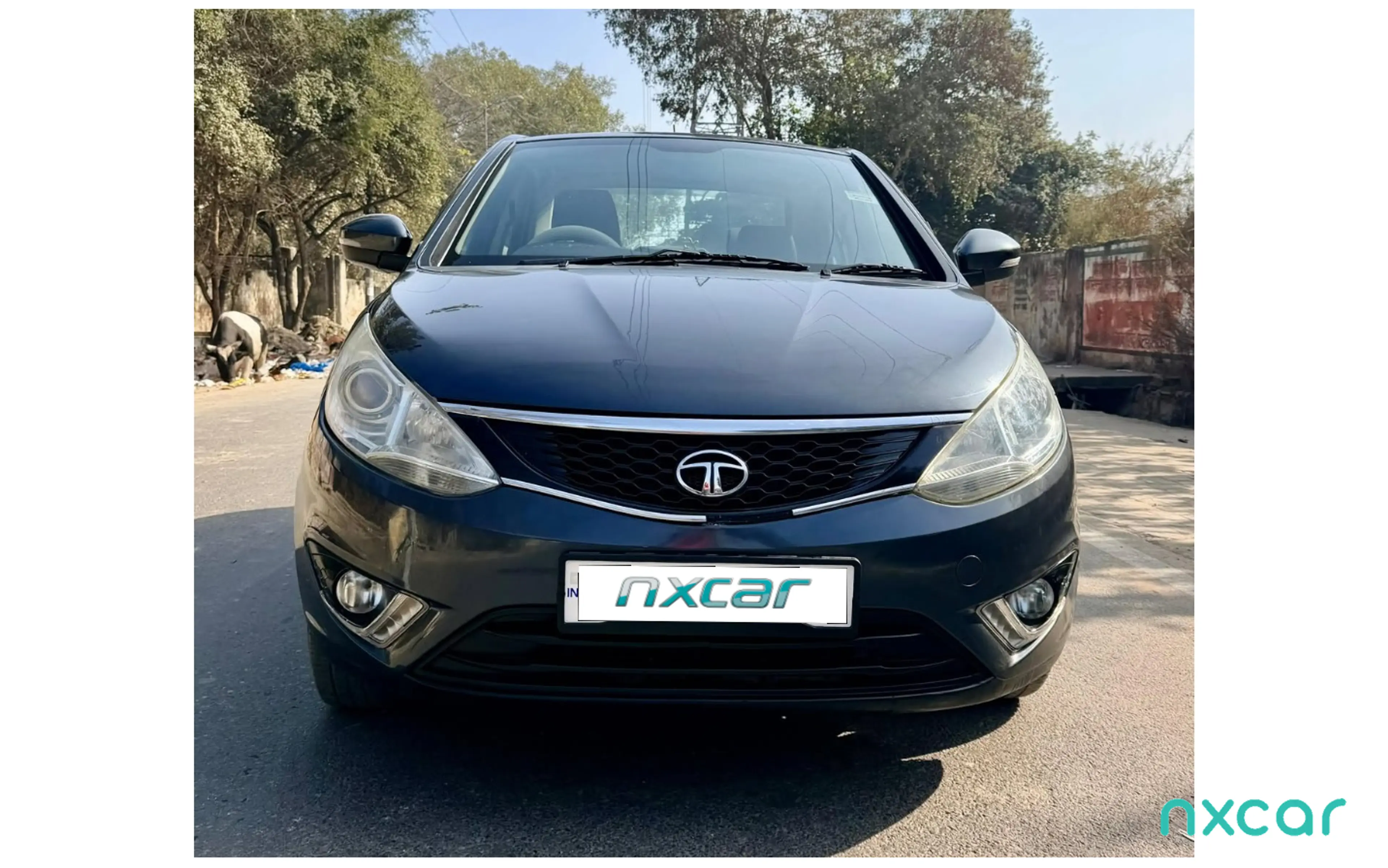 Used Tata zest xt-petrol for sale on Nxcar