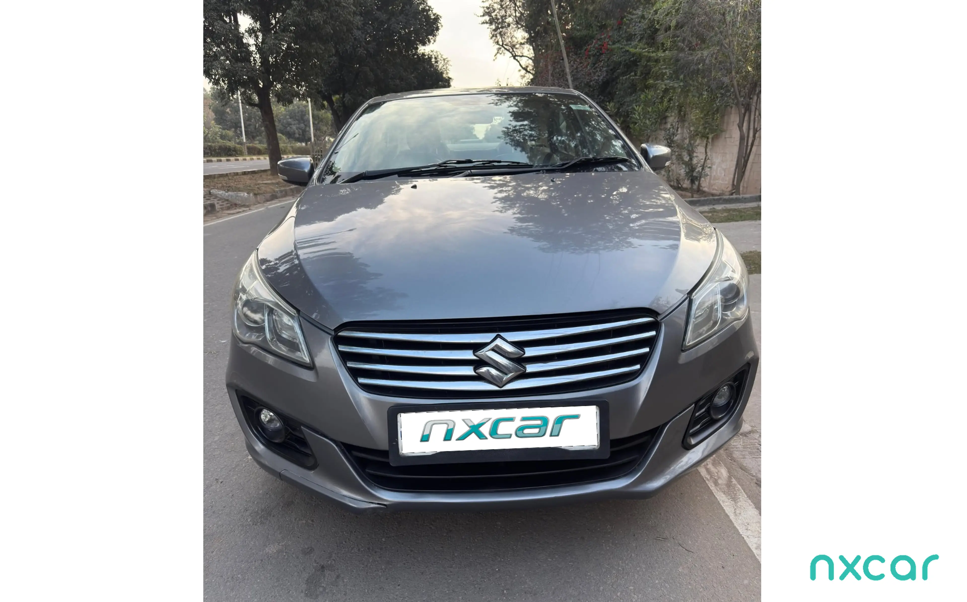 Used Maruti Suzuki ciaz delta-smart-hybrid for sale on Nxcar