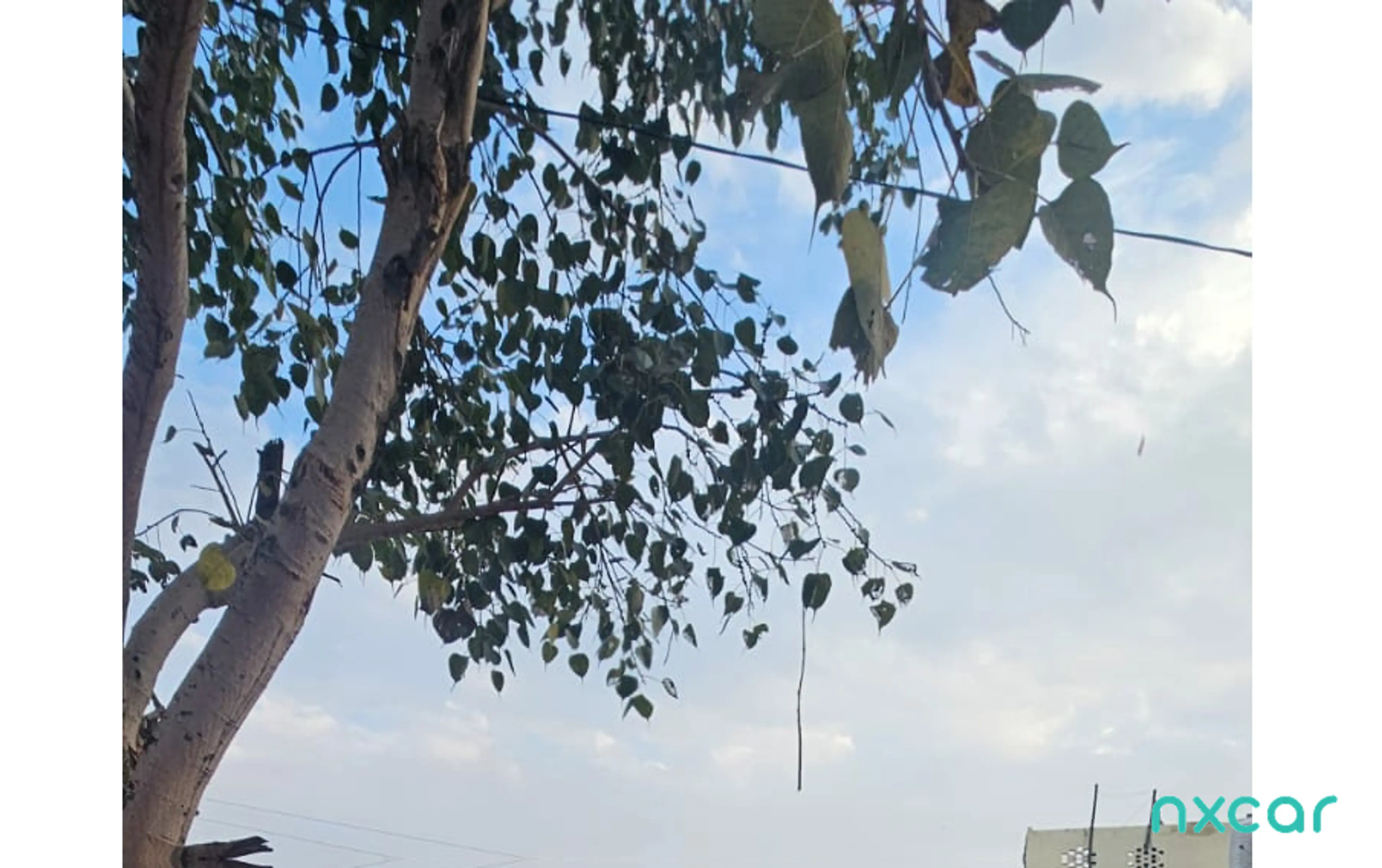 Used Hyundai i20 sportz-14-crdi2010-2012 for sale on Nxcar