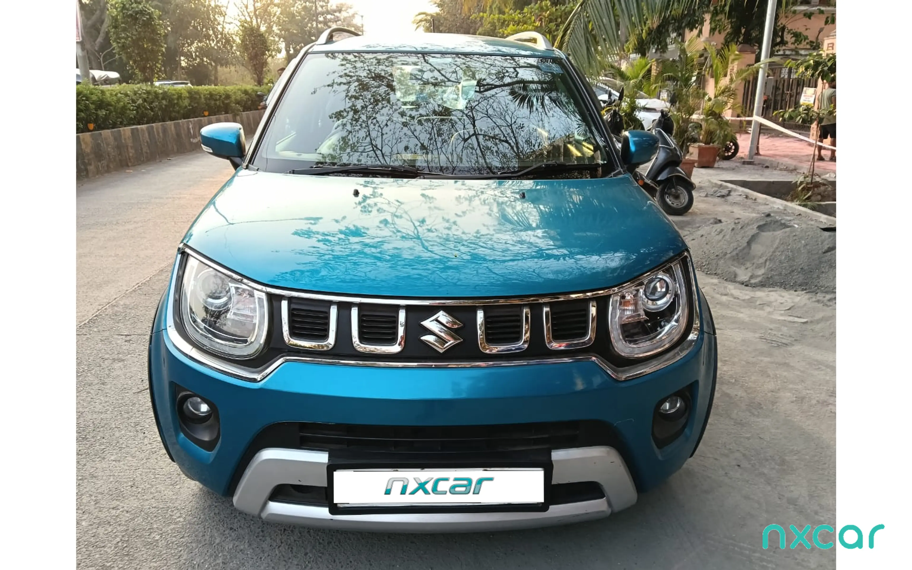 Used Maruti Suzuki ignis alpha-12-amt for sale on Nxcar