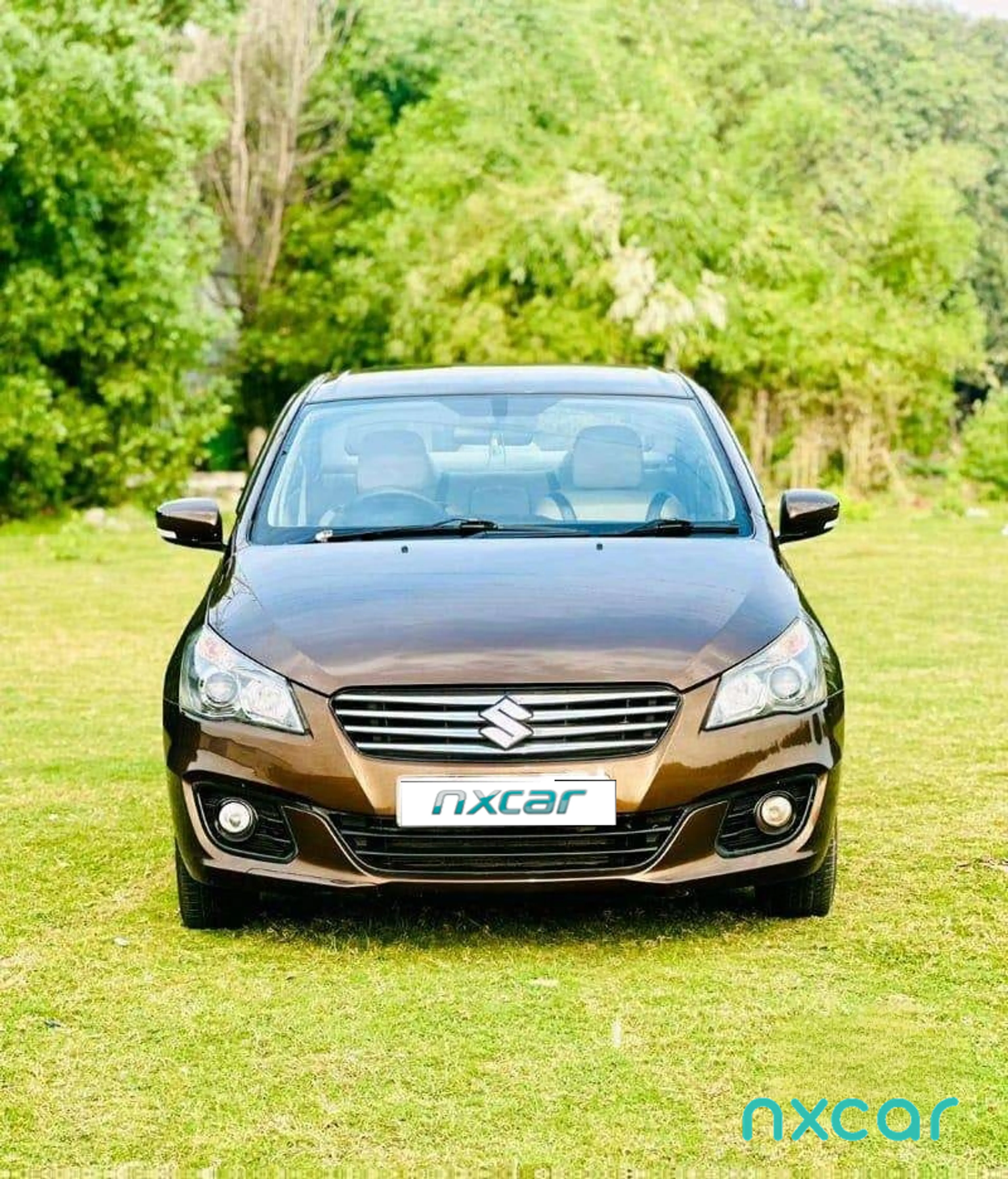Used Maruti Suzuki ciaz delta-13-hybrid2017-2018 for sale on Nxcar