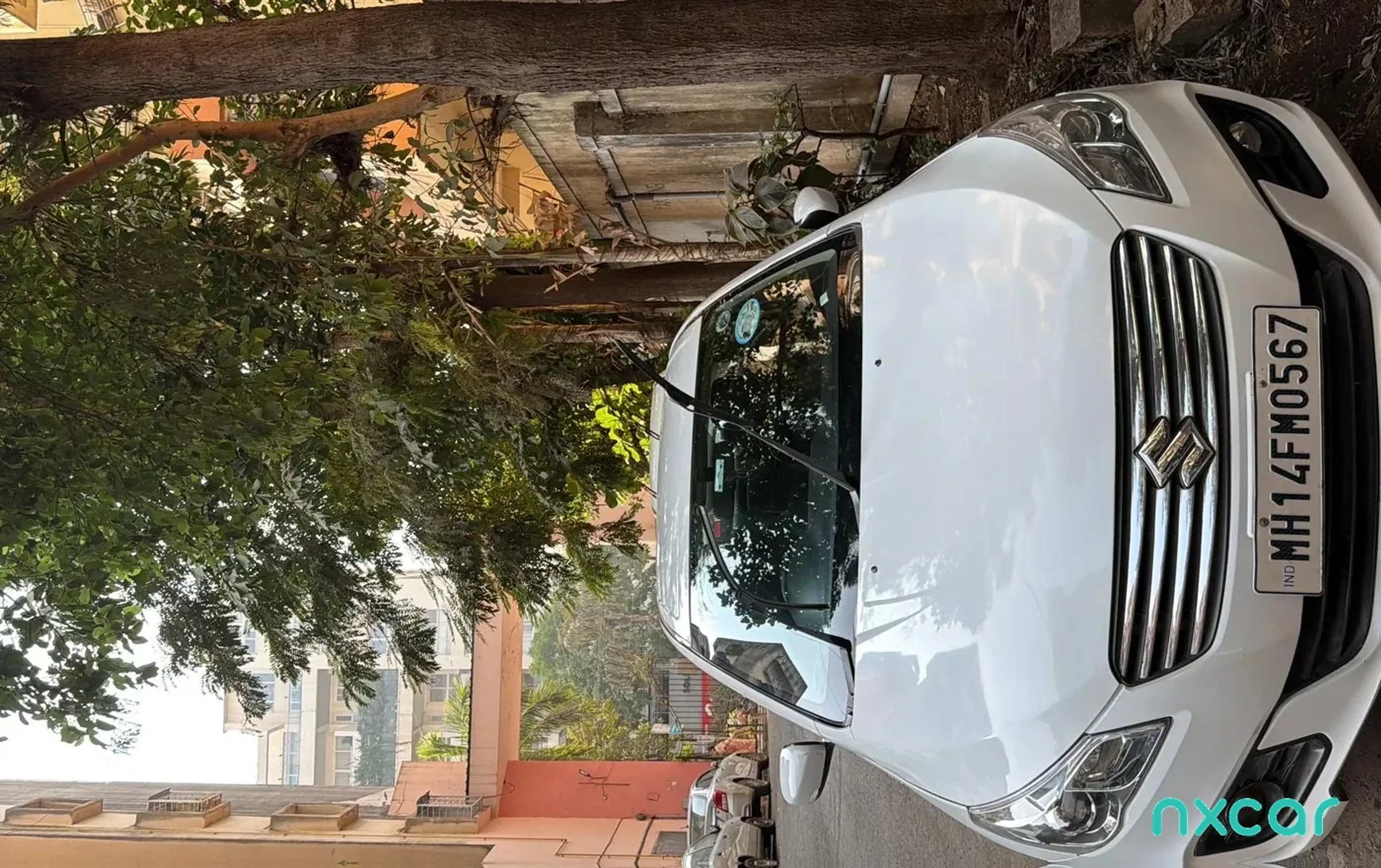 Used Maruti Suzuki ciaz zeta-13-hybrid2017-2018 for sale on Nxcar